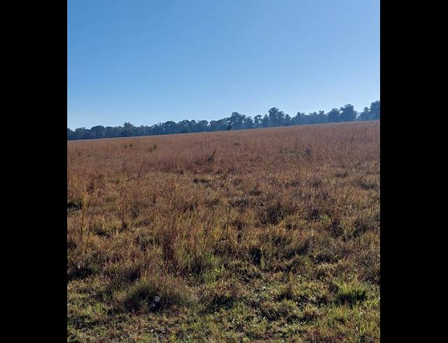 13,397M² VACANT LAND FOR SALE IN DE DEUR